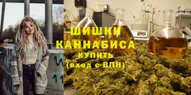 hydra как войти  Райчихинск  Шишки марихуана конопля  цена  